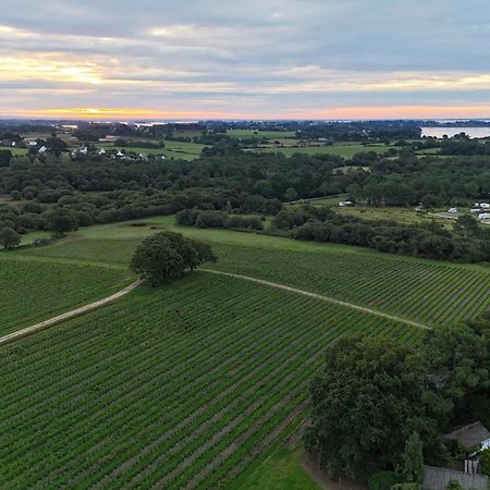Gite -L'Appart- Au Vignoble Domaine Lamballe, Baden, Golfe Du Morbihan Exterior photo